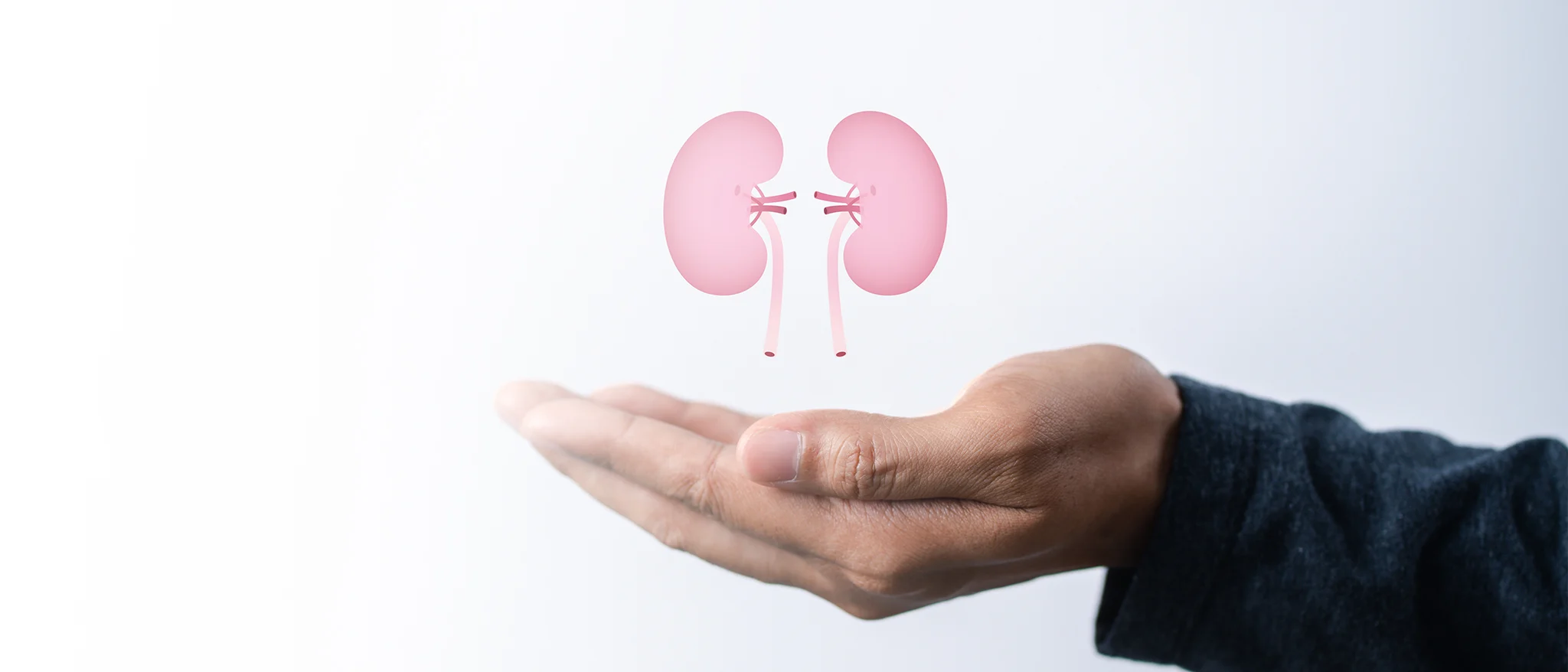 Nephrology